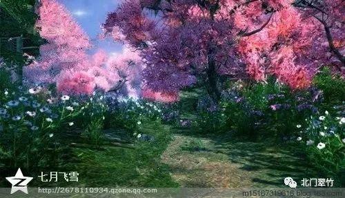 干性皮肤适合用哪类洗面奶?游戏画面